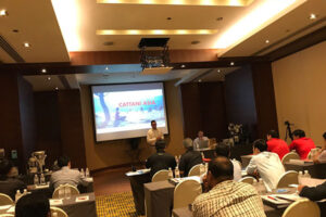 Read more about the article Cattani’s Major Focus